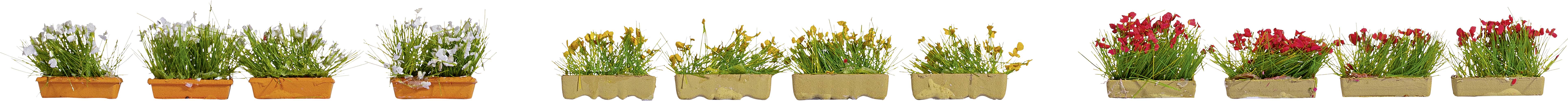 NOCH 14009 H0 flower boxes flowering red, white and yellow, each 4x Assembled