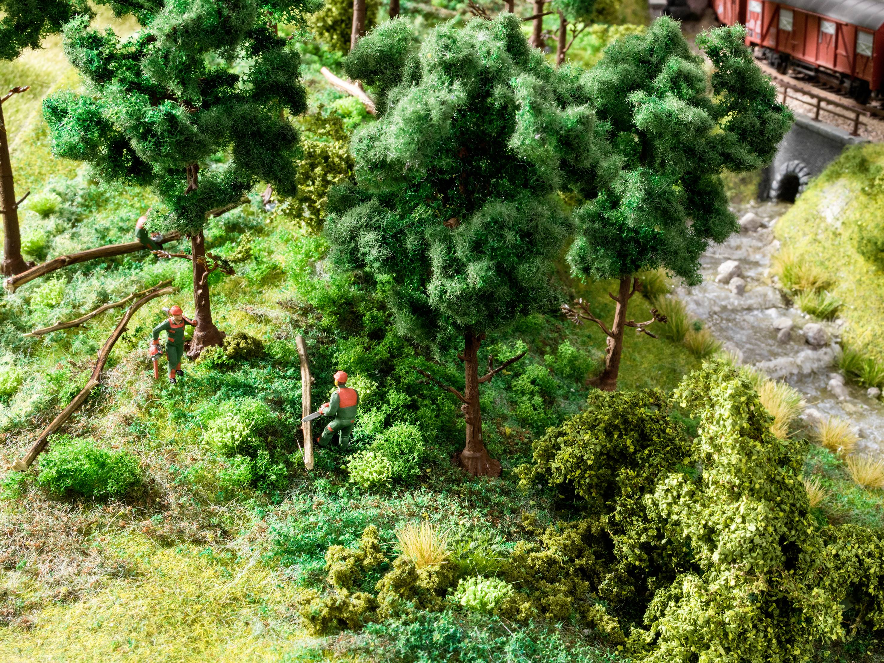 Two people wearing red helmets are felling trees in a forest beside a river. A train is crossing a bridge in the background.