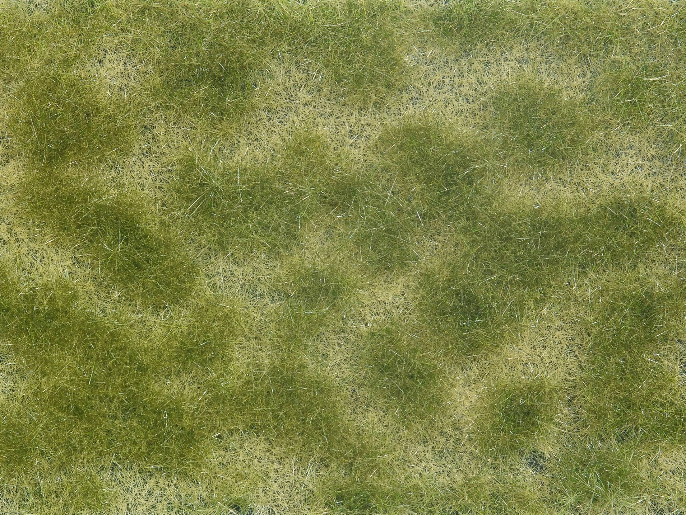 NOCH 07253 Ground cover Model landscaping Green, Beige