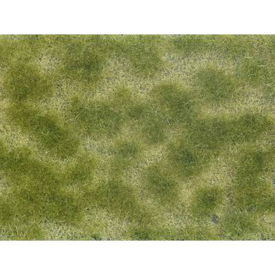 Green and yellow grassy area with irregular patterns, presumably on a meadow or field.