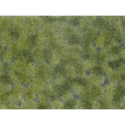Close-up of dense, green grass.
