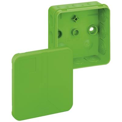 Green flush-mounted electrical box with removable cover