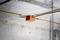 Orange distribution box mounted on a ceiling, connected by cables in four directions. Concrete background.