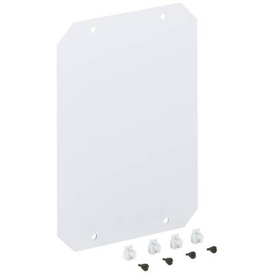White mounting plate with rounded corners and four drill holes, with four screws and wall plugs arranged underneath for fixing.