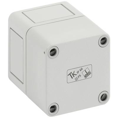 A grey junction box with four screws in the corners. 'TK IP 66 P5' printed on the front.