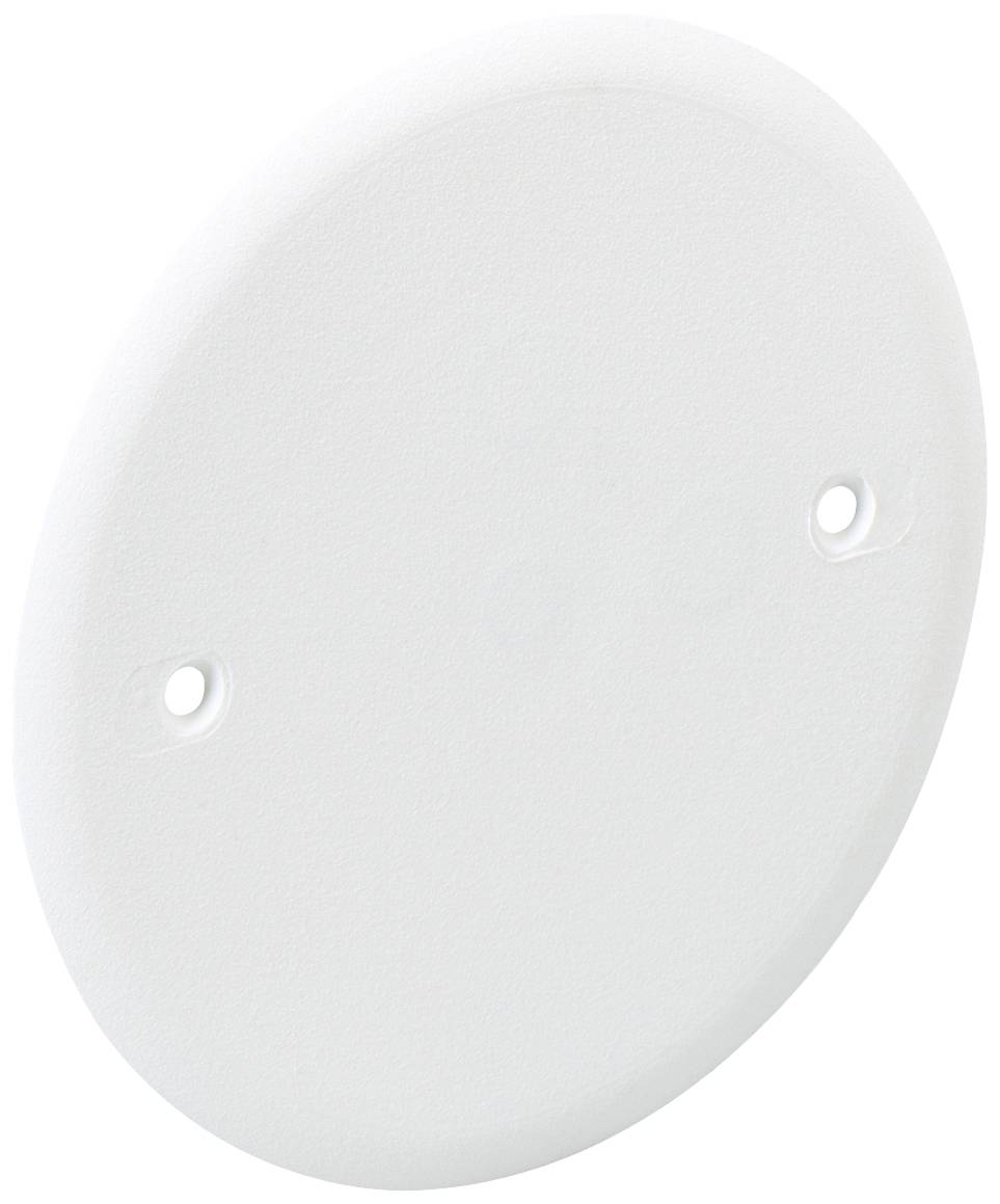 White, round plastic disc with two opposite holes for fixing.