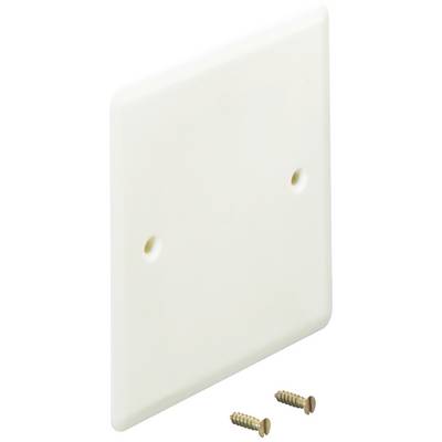 White, square plastic cover plate with two screws, suitable for covering electrical boxes or switches.