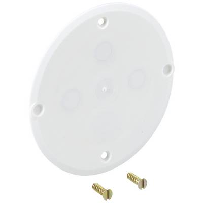 Round white plastic cover with three screw holes and two accompanying screws.
