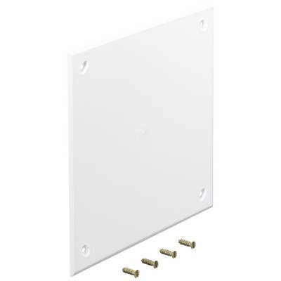 White square cover plate with four screws underneath, ideal for concealing electrical connections or wall openings.