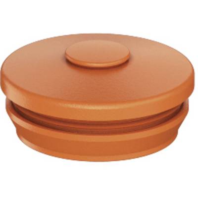 Spelsberg 26062501 Twin membrane plug 1 pc(s)