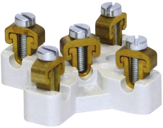 Five metallic screw terminals are mounted on a white plastic housing. They are used for electrically connecting cables.