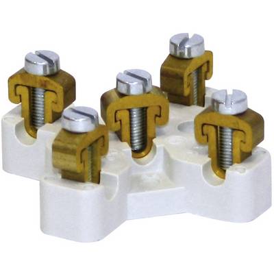 Five metallic screw terminals are mounted on a white plastic housing. They are used for electrically connecting cables.