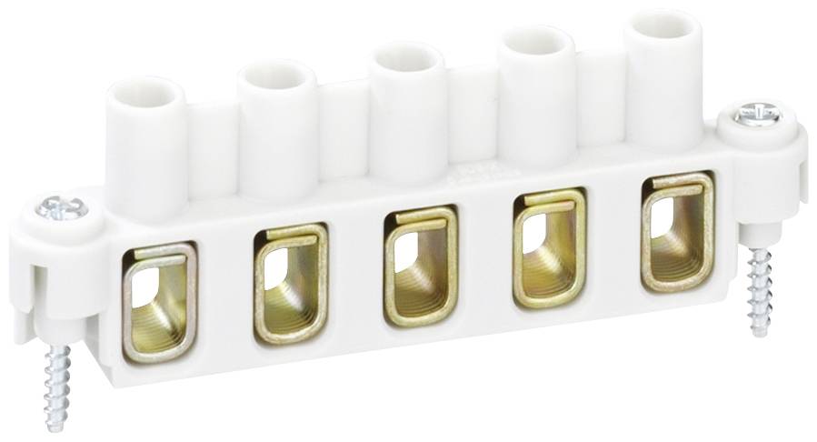 Electric socket strip with five outlets and side screws for mounting, primarily in white.