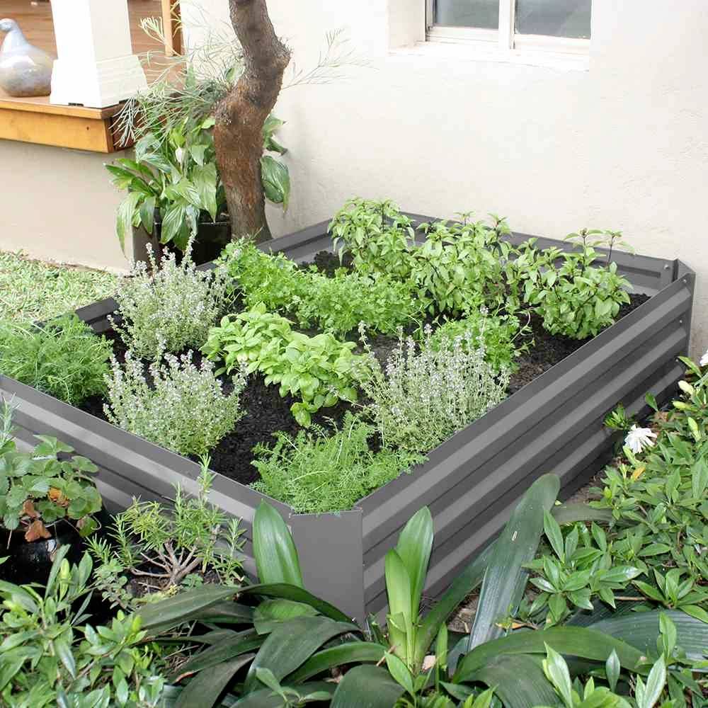 A grey raised bed in the garden contains green herbs such as basil and thyme. In the background, a tree and a house window can be seen.