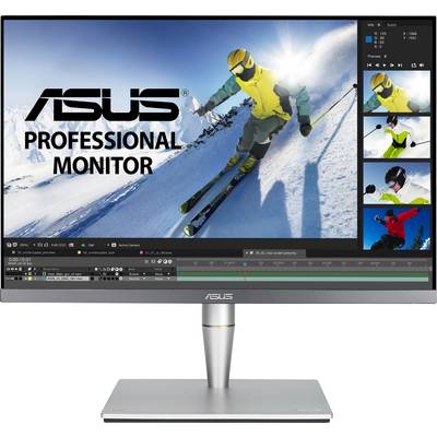 A monitor displays a skier on a snow-covered ski slope. In the top left corner, it reads 'ASUS PROFESSIONAL MONITOR'. On the right side, there are additional image previews.