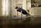 A man is doing a press-up on a yoga mat in a cosy living room with a wooden floor and shelves in the background.