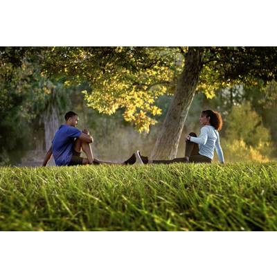 Two people are sitting on a green meadow beneath a tree. They are relaxing and having a conversation at sunset.