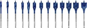 Bosch Accessories 2608900336 Wood fraise set 10 mm, 12 mm, 13 mm, 14 mm, 16 mm, 18 mm, 20 mm, 22 mm, 24 mm, 25 mm, 28 mm, 30 mm, 32 mm Total length 152 mm Hex shank 13 pc(s)