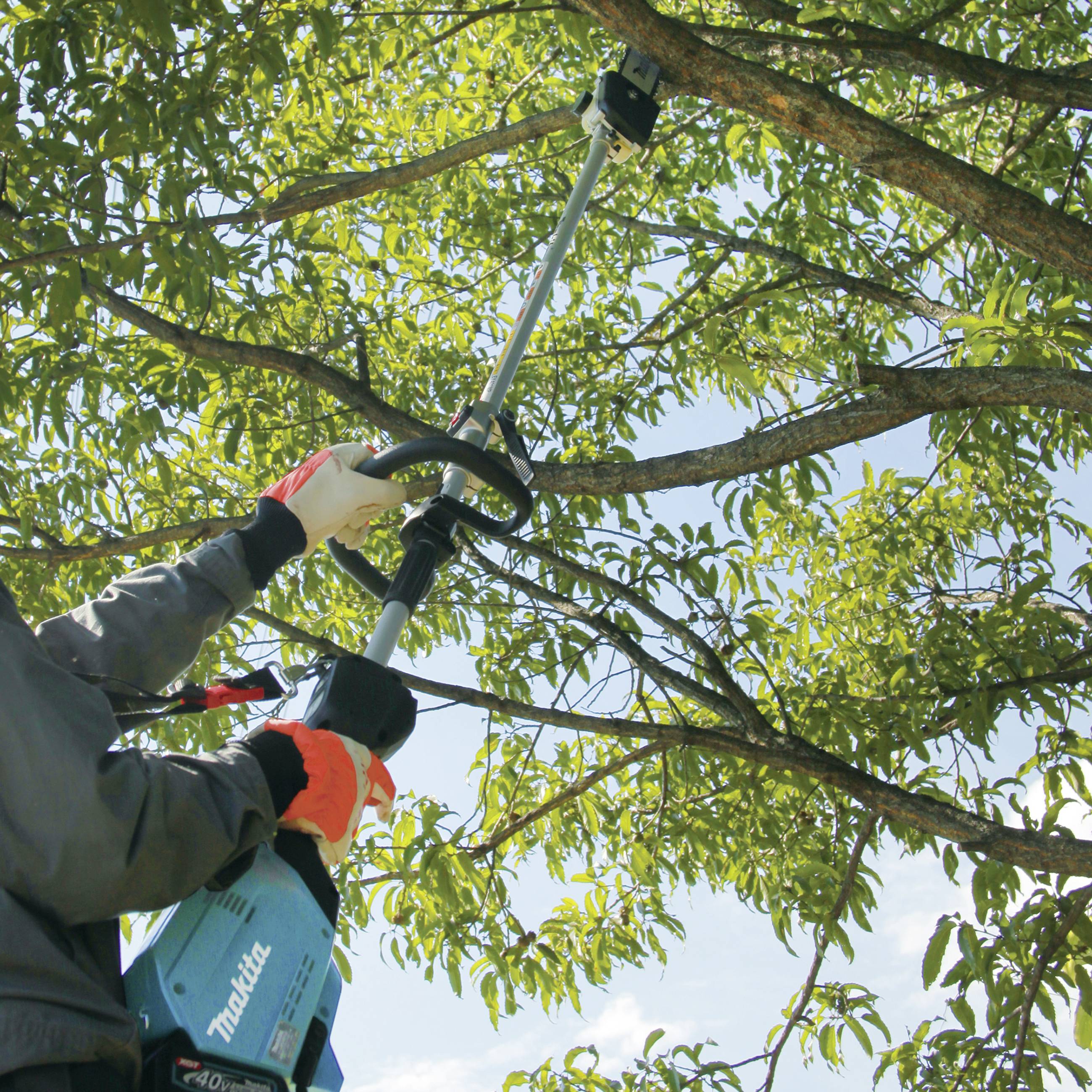 A person is cutting a branch from a tree using an electric pruning saw. The background shows green leaves and a blue sky.