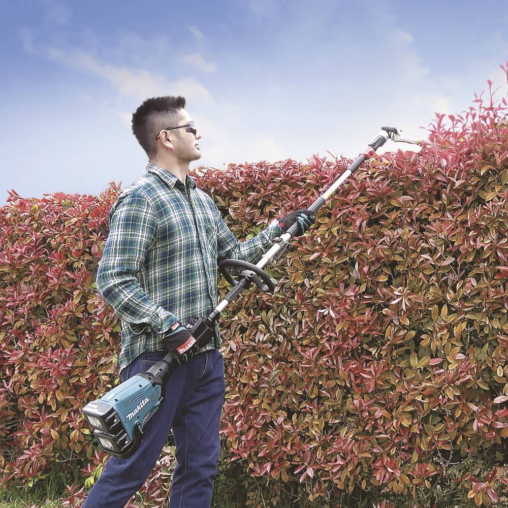 A person is trimming a dense, reddish hedge with an electric hedge trimmer beneath a clear blue sky.