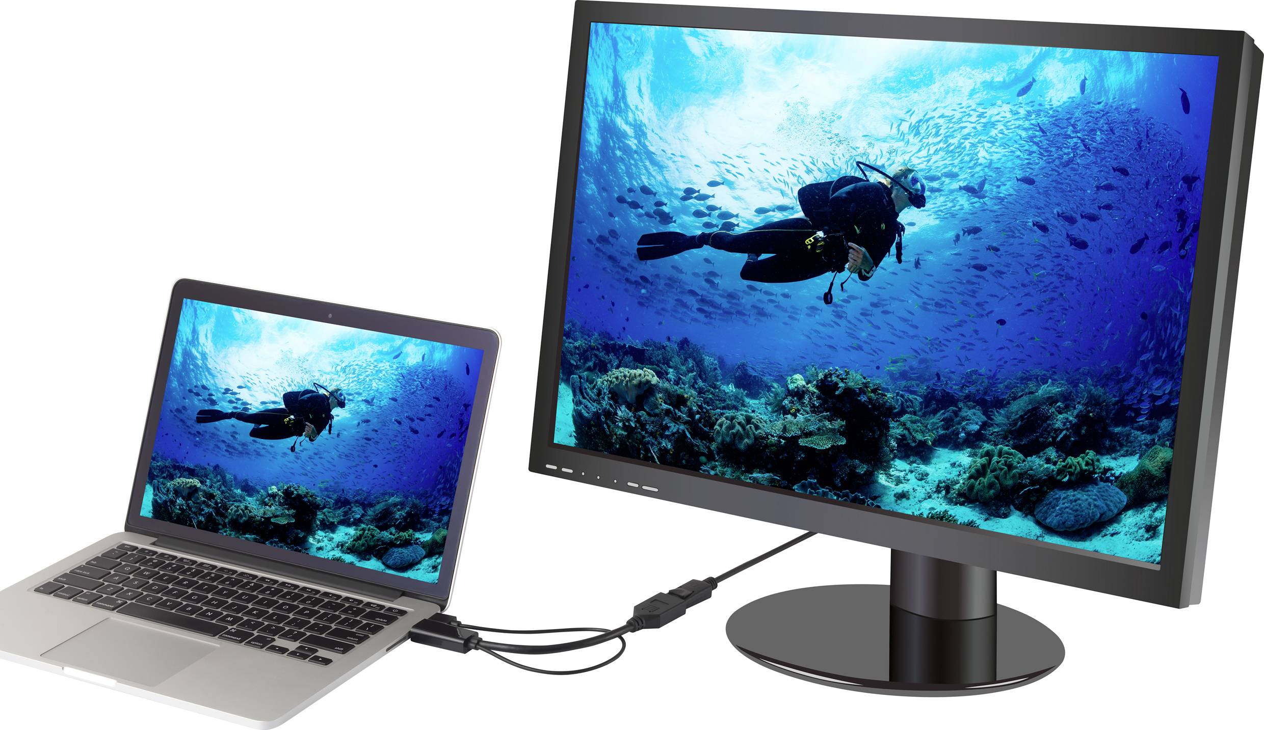 A laptop is connected to a larger monitor via a cable. An underwater image with divers is displayed on both screens.