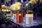 Grave candles glow amidst colourful flowers in a cemetery. They stand in a row, creating a serene and contemplative atmosphere.