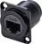 Black CAT6 network socket with rectangular base plate and two screw holes for wall mounting.