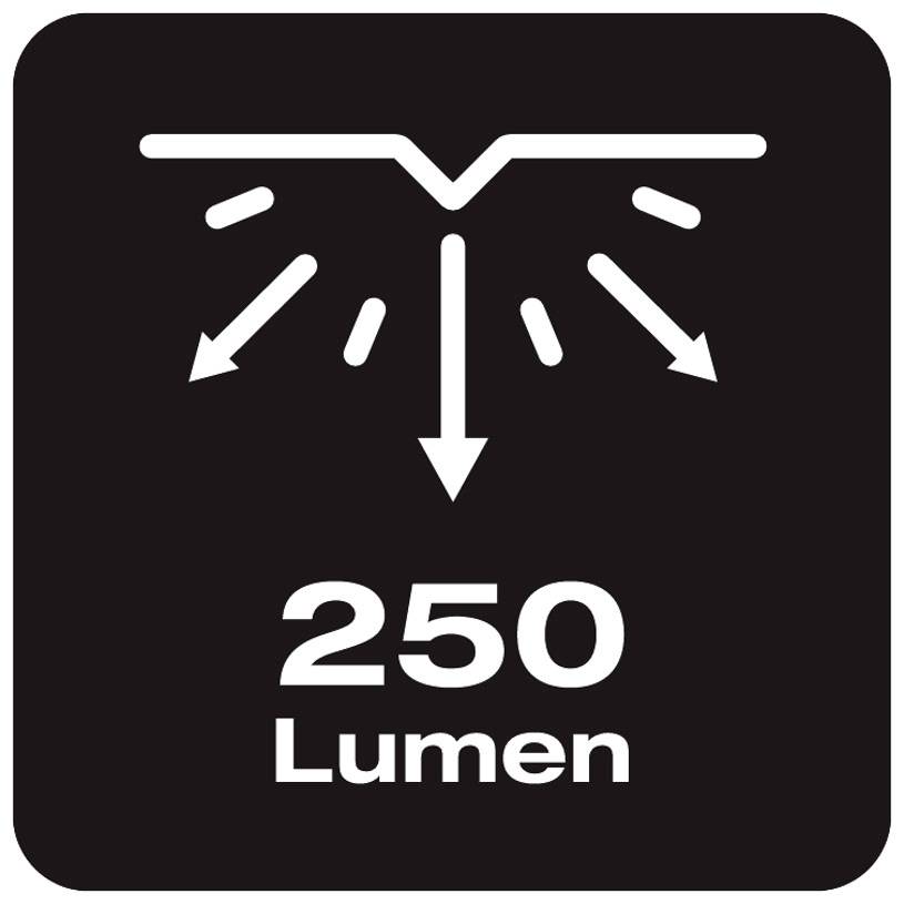 A symbol shows a light beam with five downward-pointing arrows, beneath which is written '250 lumens'.