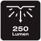 A symbol shows a light beam with five downward-pointing arrows, beneath which is written '250 lumens'.