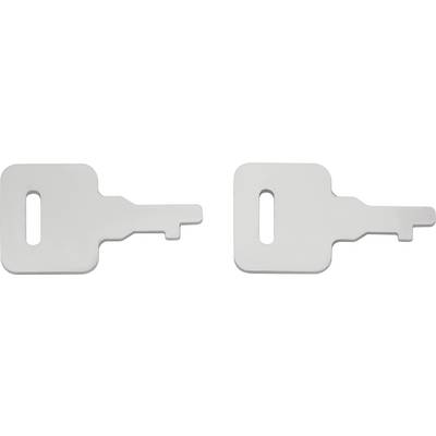 Two silver metal keys for a specific vehicle ignition system. They have a box-shaped form with a rectangular opening on each.