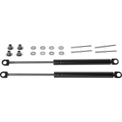 Gas strut set with two black struts, four gears, four washers and four bolts, suitable for installation or repair.
