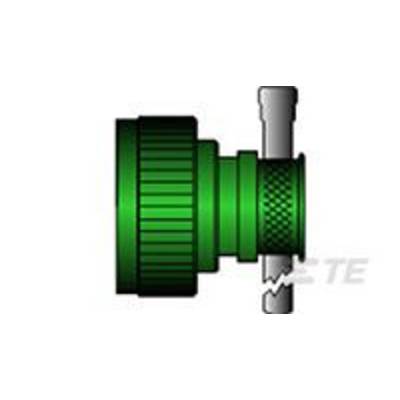 Green hose coupling connected to a tap.