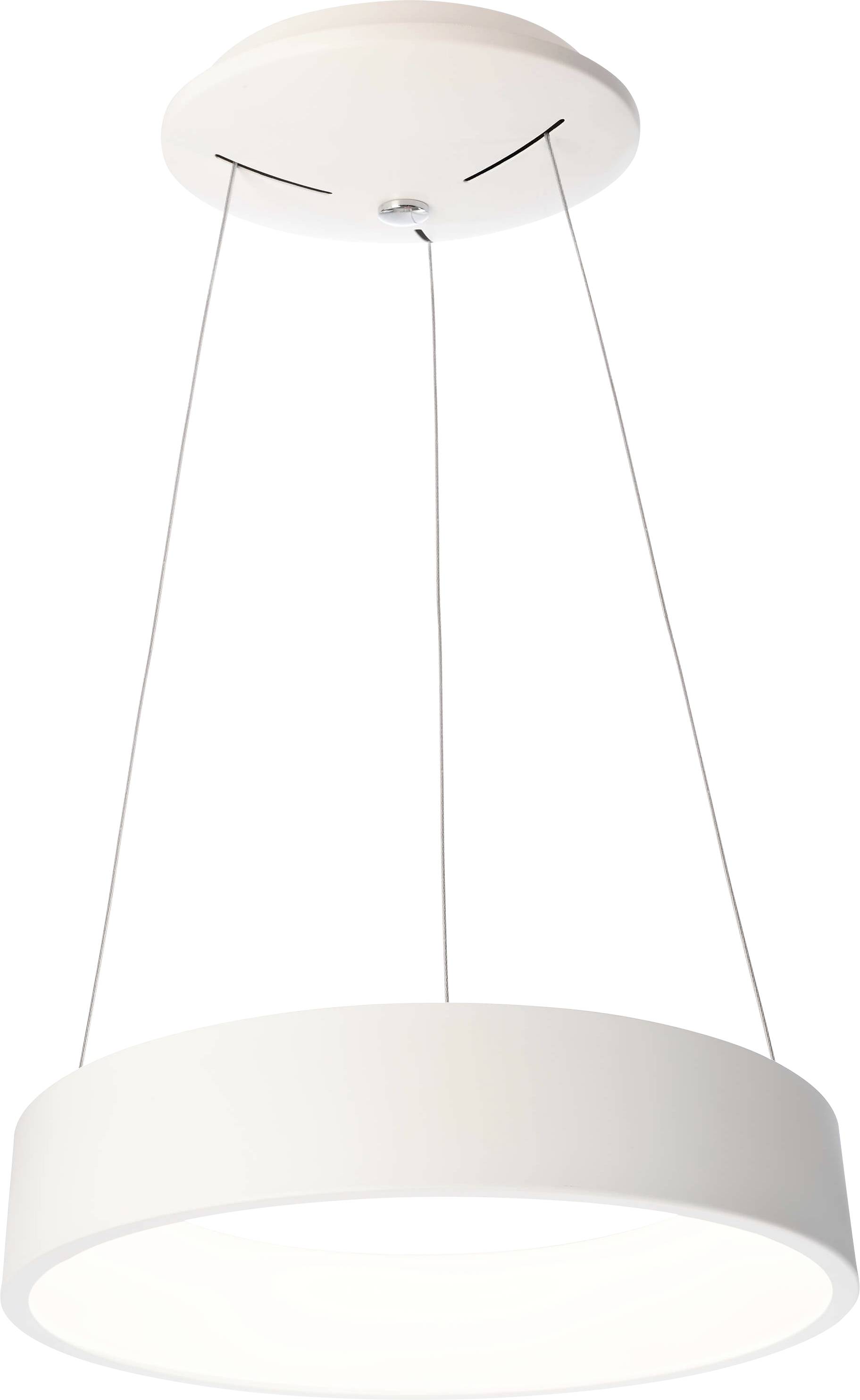 Deko Light Sculptoris 45, neutralweiß 342123 Pendant light LED (monochrome) Built-in LED EEC: F (A - G) 26 W White
