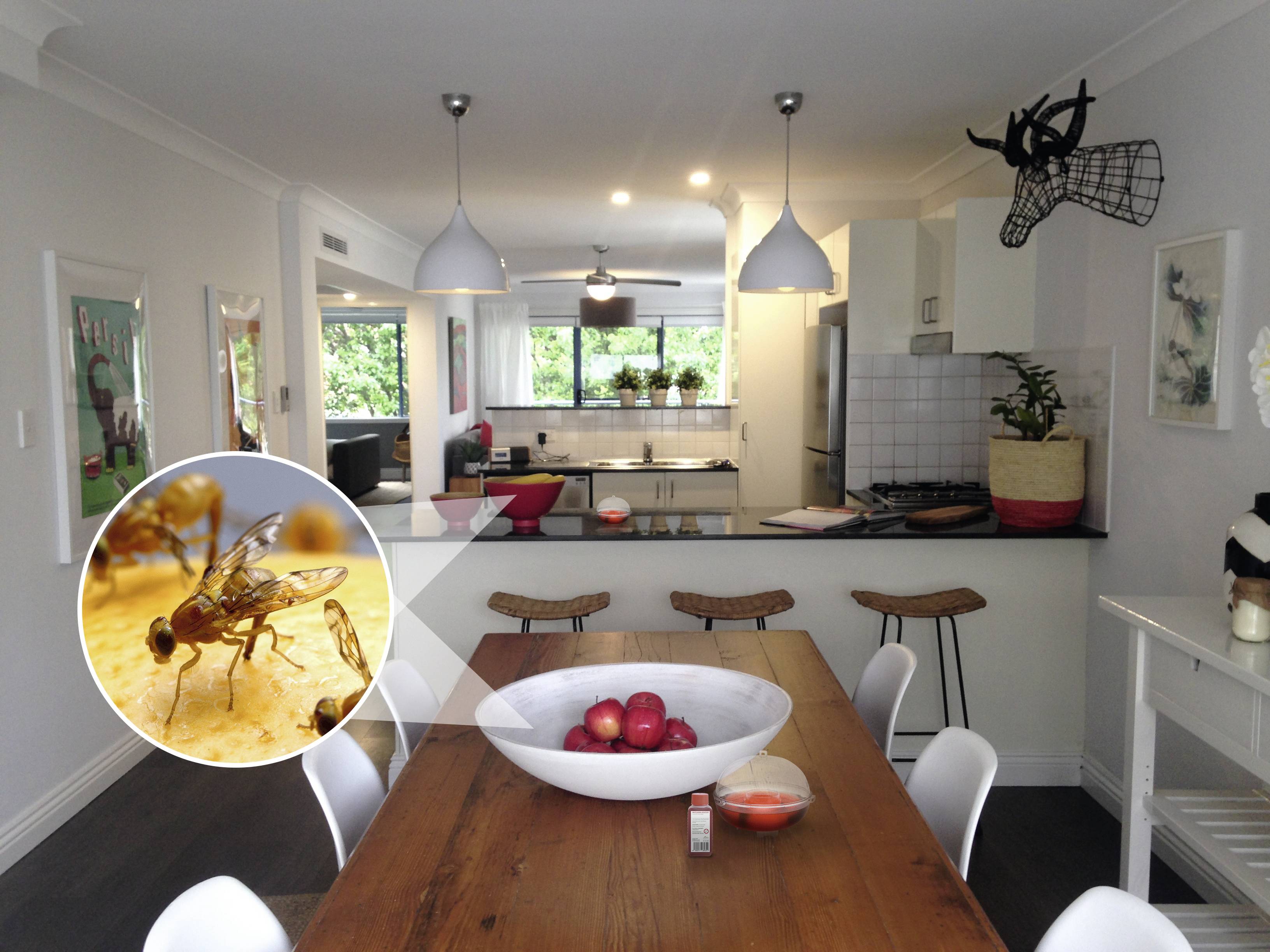 Gardigo 66651 Bait 100 ml-1