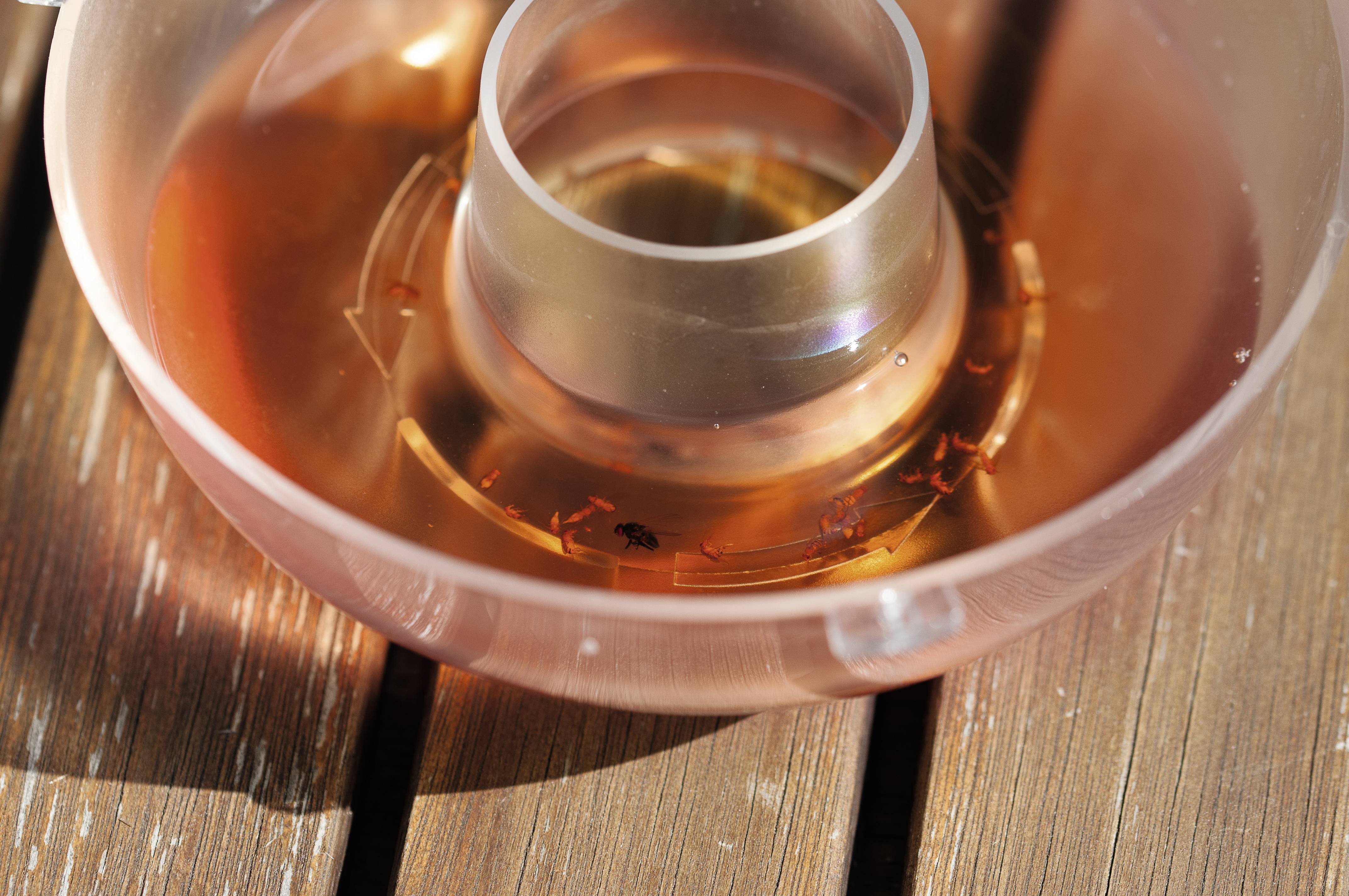 Gardigo 66651 Bait 100 ml-2