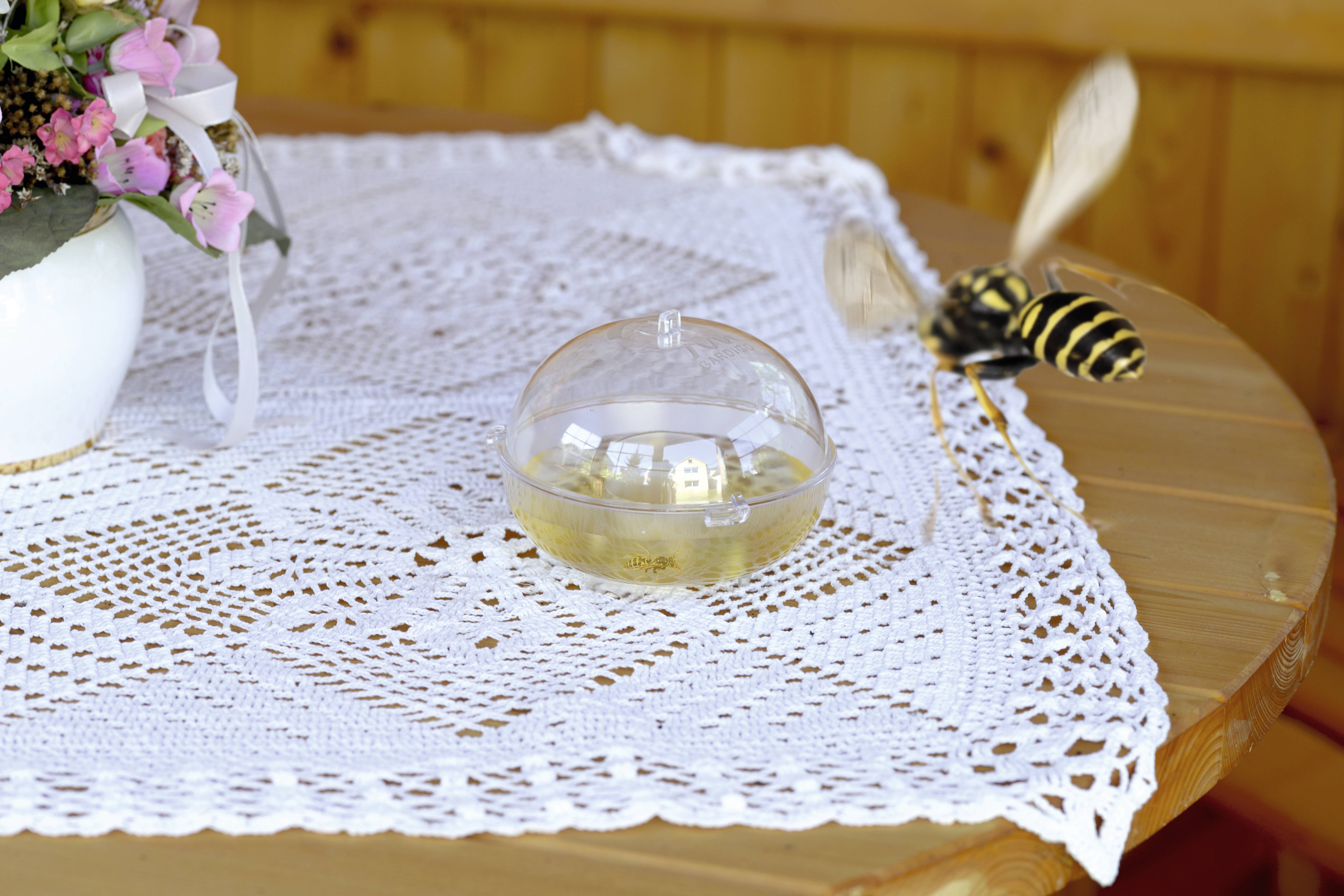 On a round wooden table stands a glass fly trap containing liquid. Nearby, a large wasp is flying. In the background, a bouquet of flowers.
