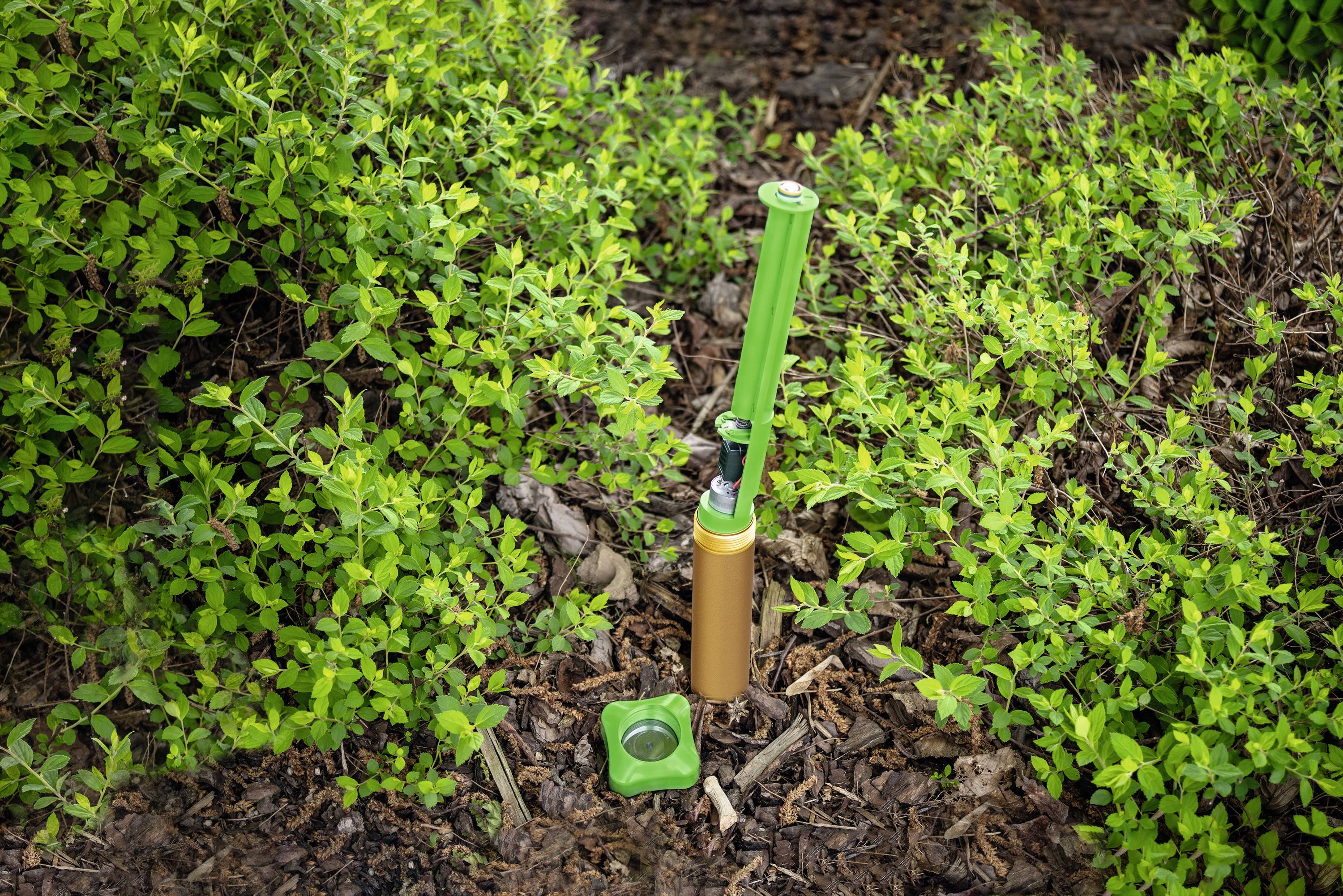 A green irrigation sensor is placed in the soil and monitors moisture to optimise plant watering in a garden.