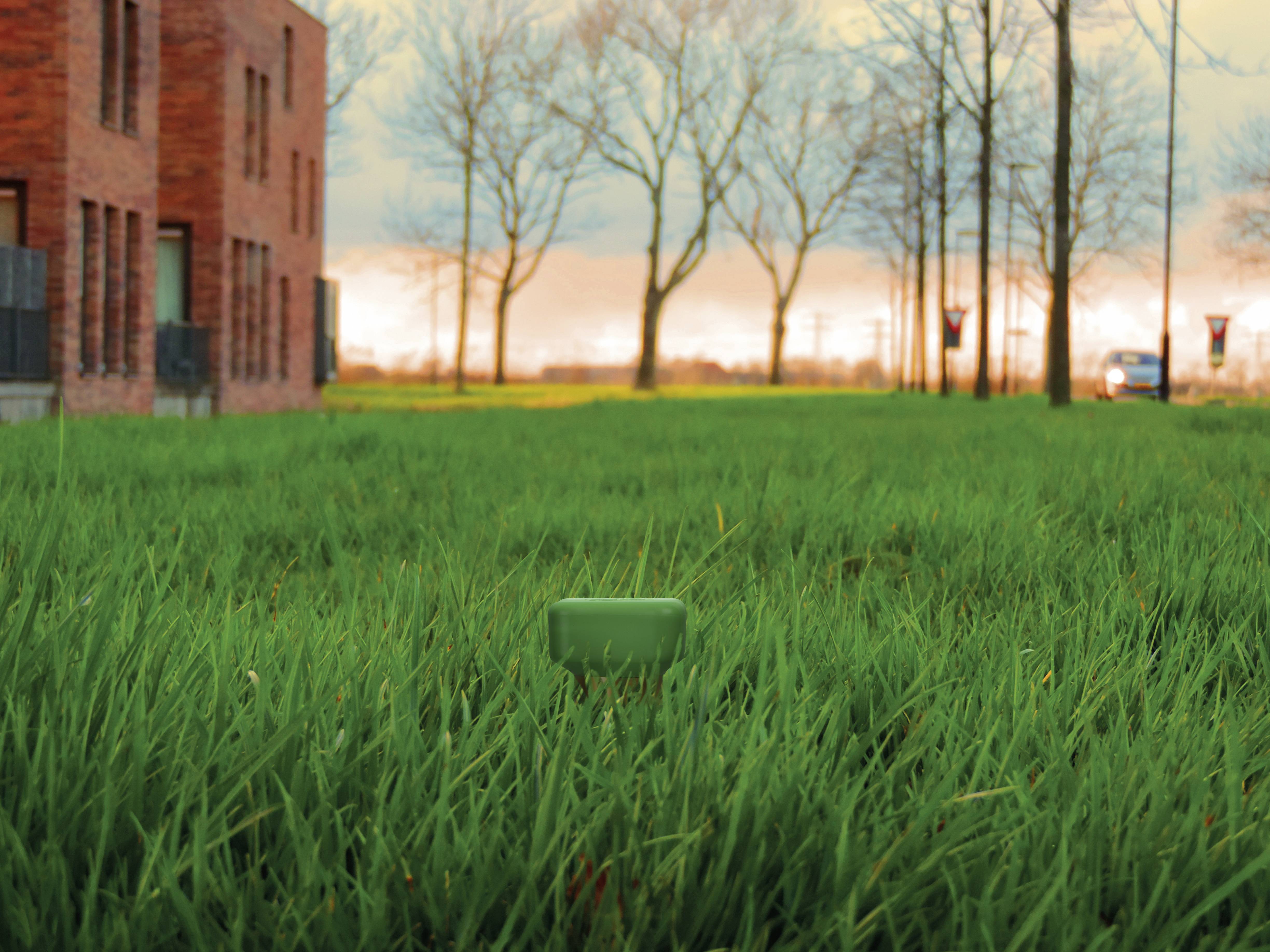A green object lies in the grass in front of a red brick building. Leafless trees stand in the background at sunset.