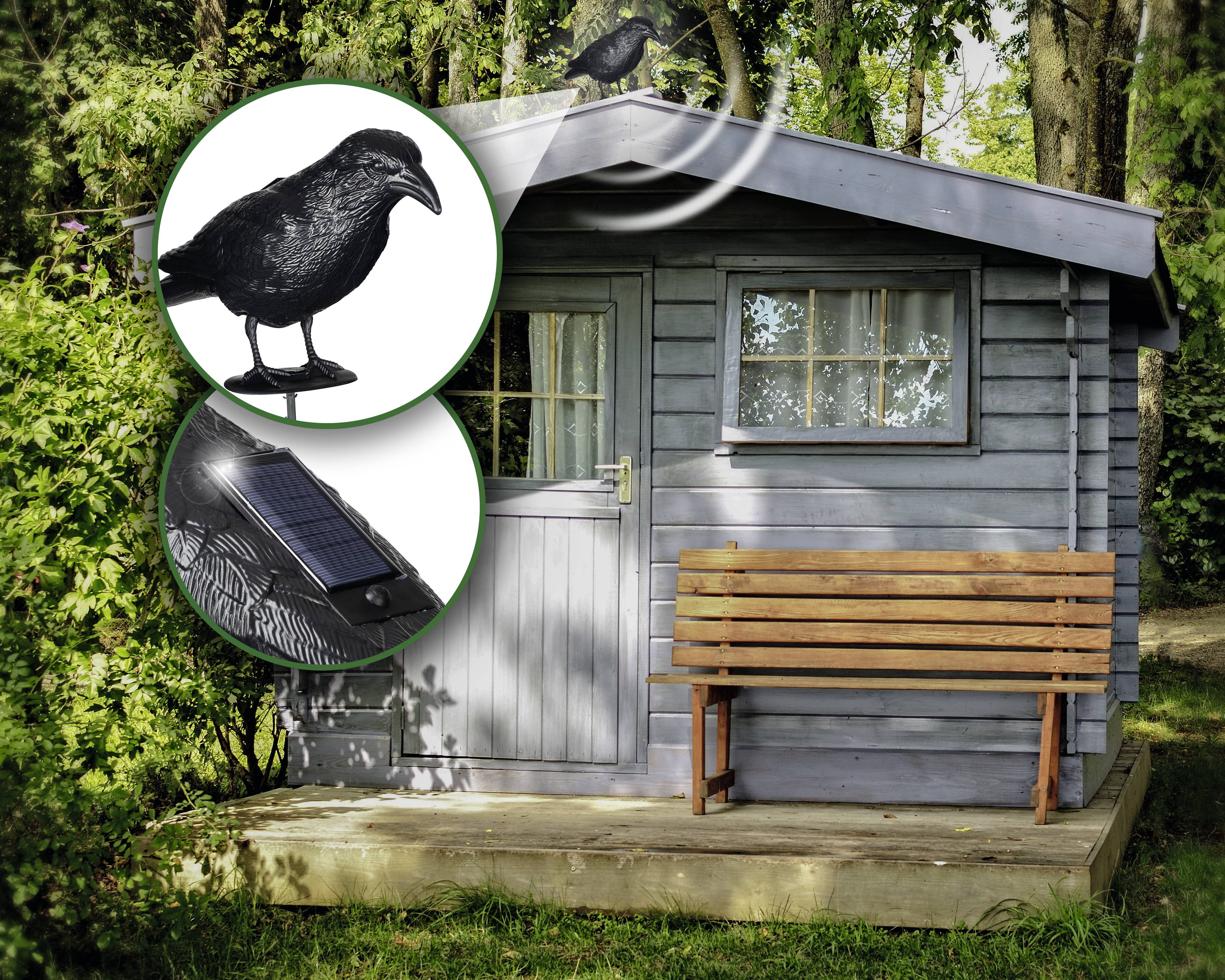 A garden shed in front of trees with a wooden bench. Zoom in on a black crow figurine and a solar panel positioned on the roof.