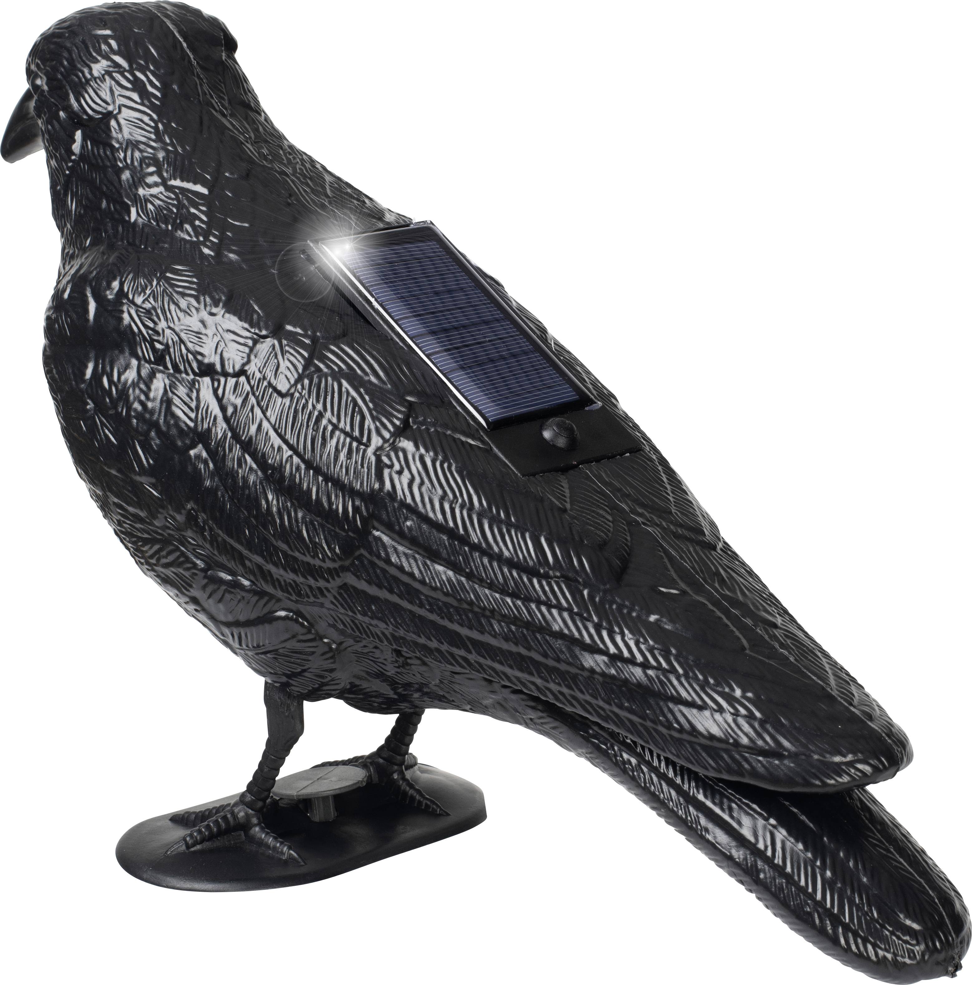 Black crow figure with a solar panel on its back, designed to deter birds in the garden.