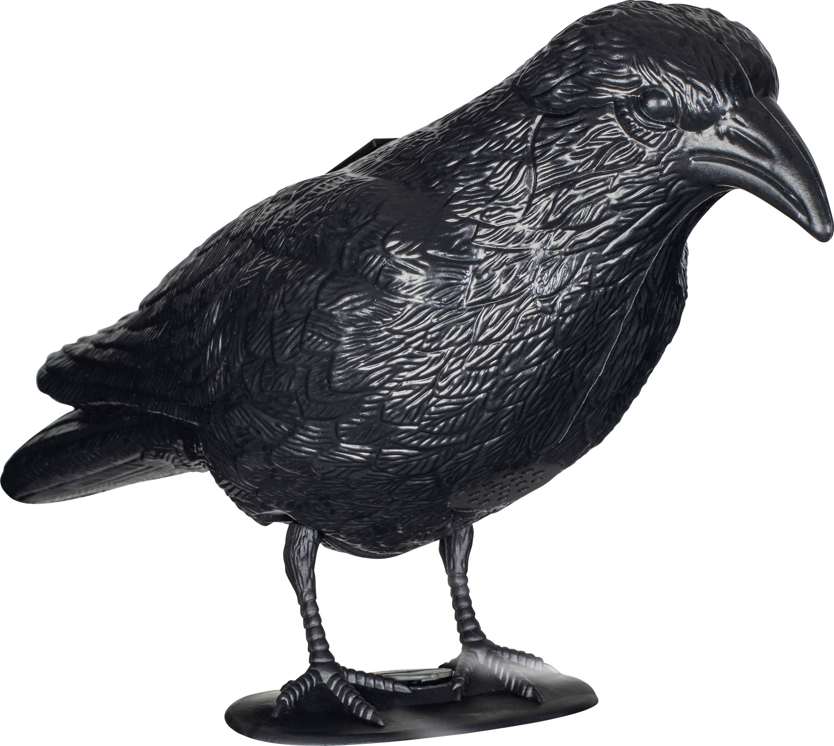 A black bird sculpture with detailed feather design stands upright. It appears realistic and is mounted on a small base.