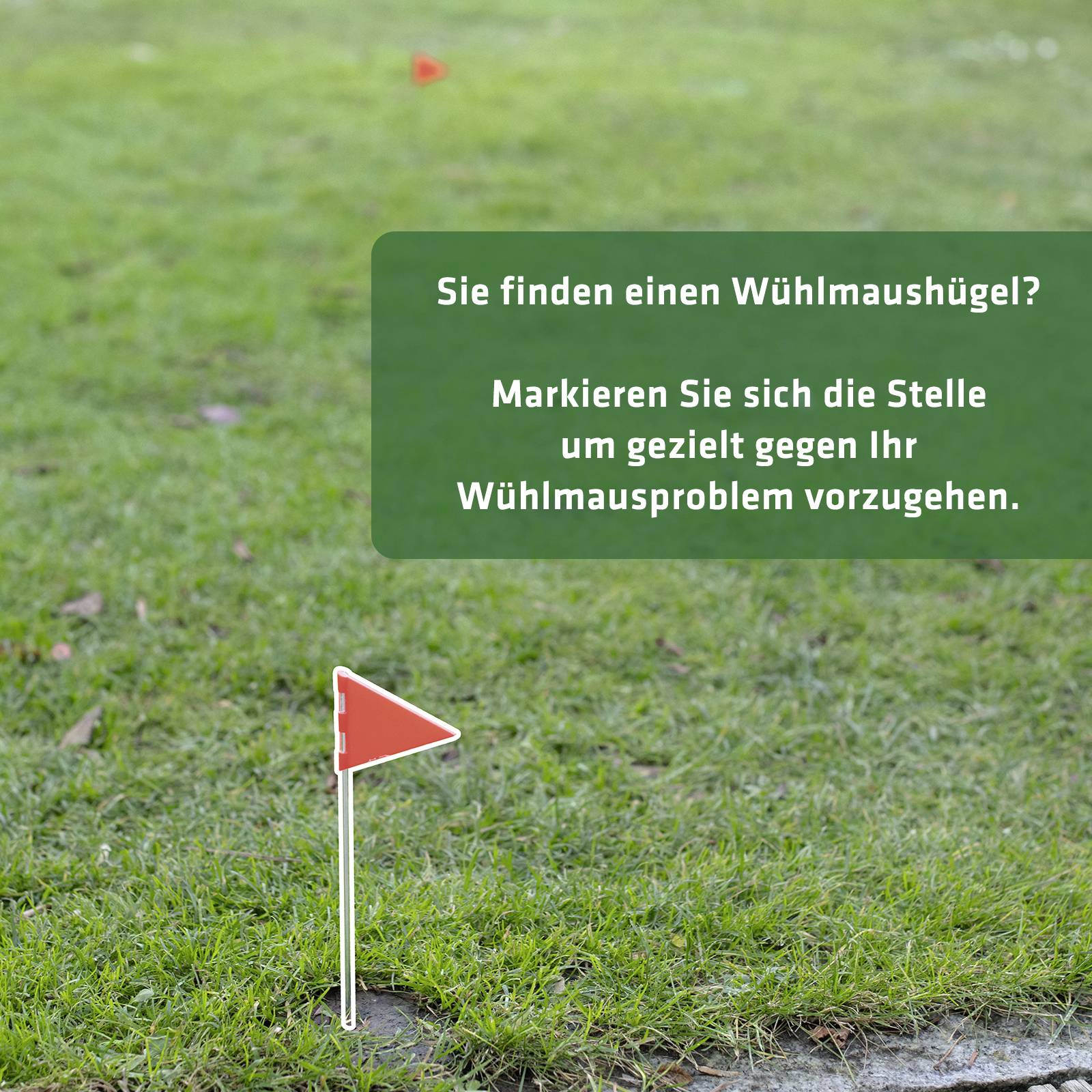 Gardigo 70044 Zubehör-Set Arvicolinae trap hole cutter 1 pc(s)-8