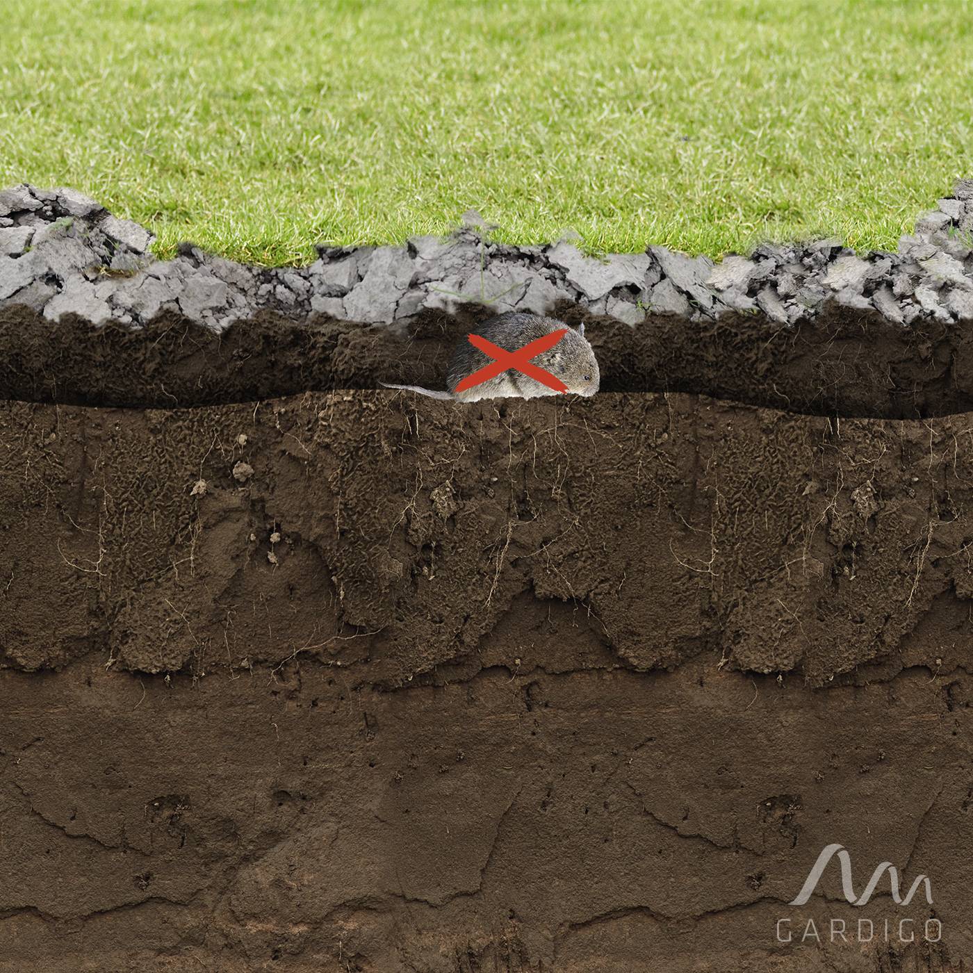 Gardigo 70044 Zubehör-Set Arvicolinae trap hole cutter 1 pc(s)-1