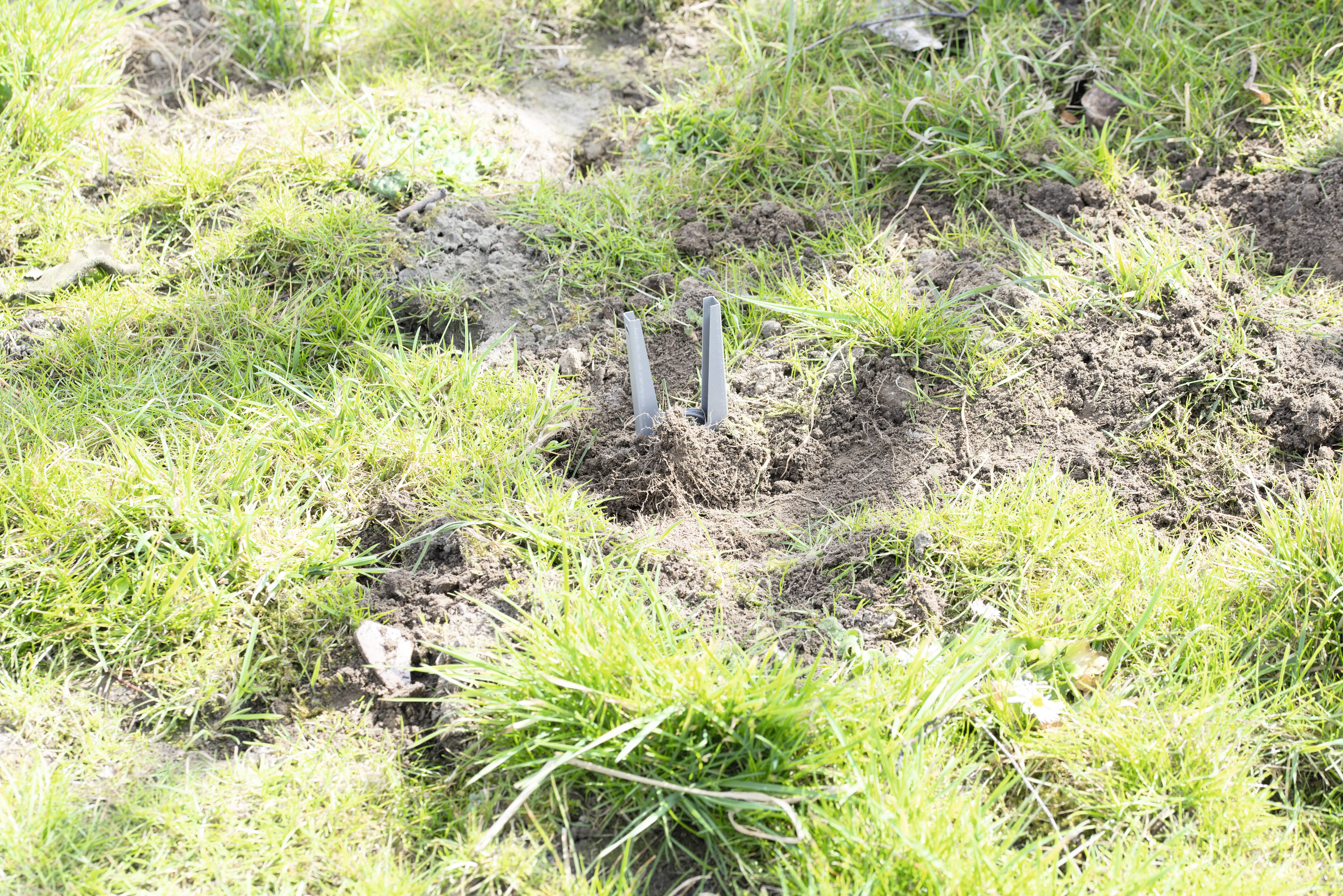 A three-pronged metal stake protrudes from the ground of a green lawn. It is surrounded by soil.