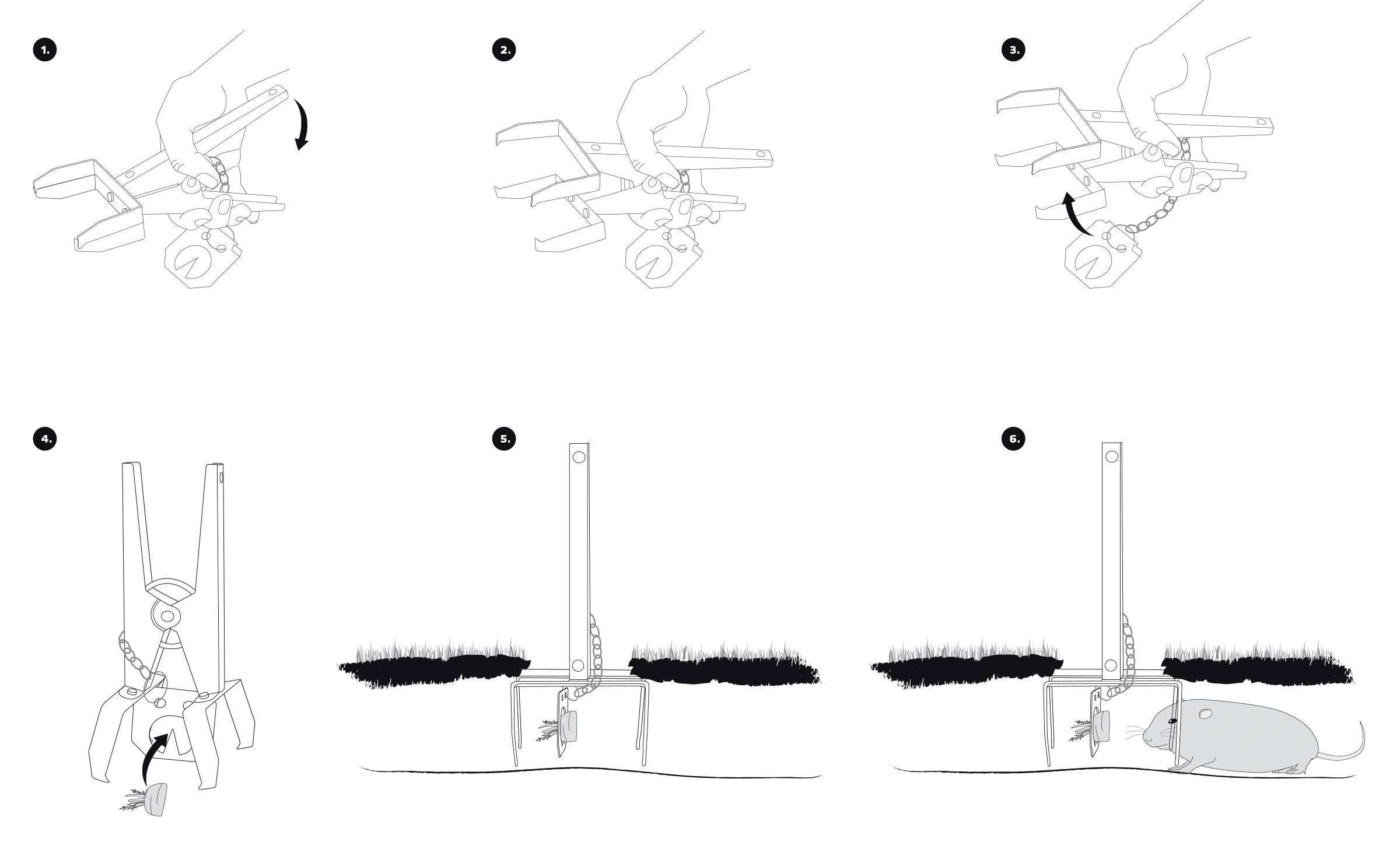 A six-step guide to setting up a mole trap: Steps show how to set the trap and place it in the ground. The final image shows a captured mole.