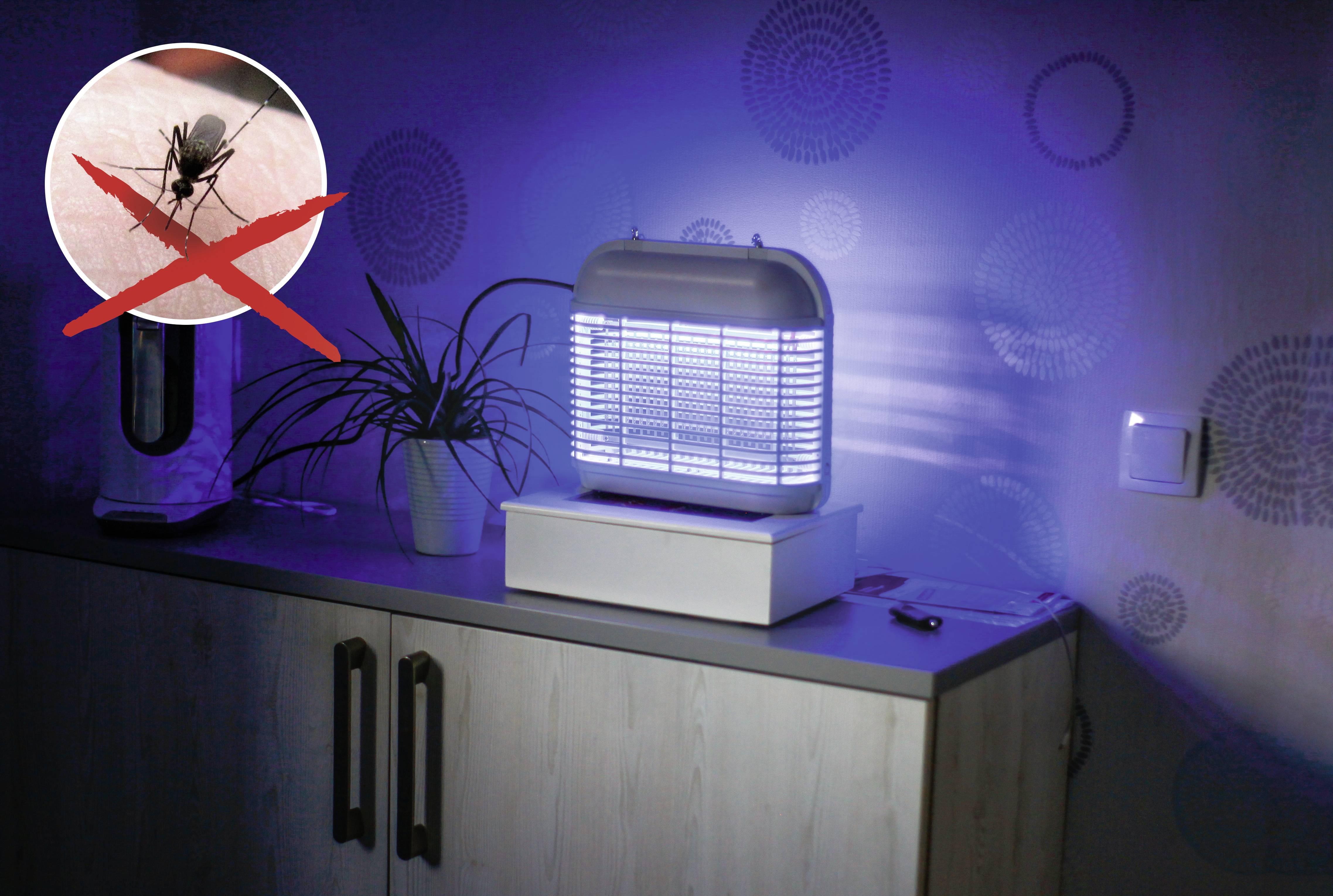 Gardigo Jasmin 62310 UV fly trap UV light, Electrical grid (W x H x D) 305 x 260 x 108 mm 1 pc(s)-3