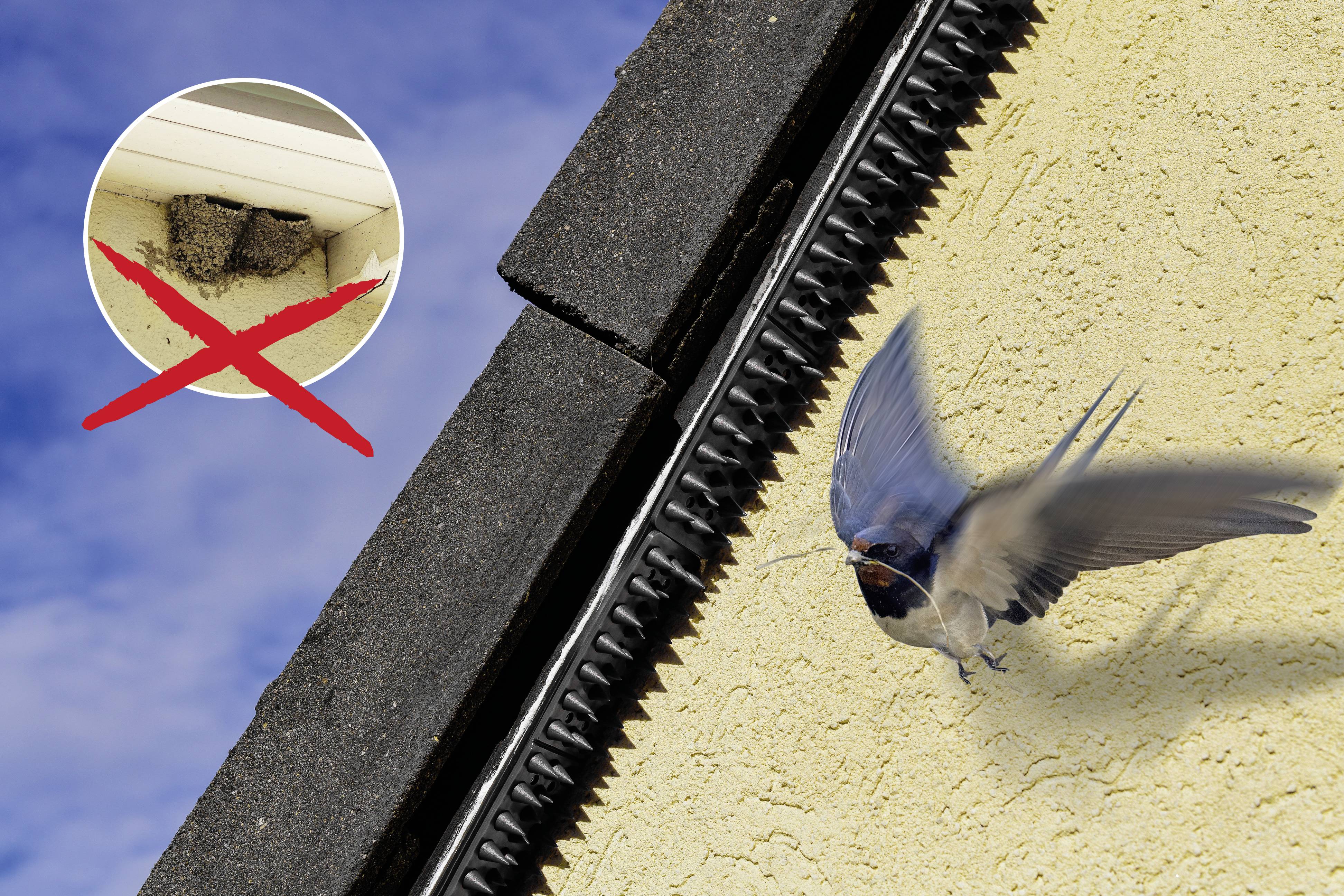 Gardigo Bird repeller Working principle Deterrent 20 pc(s)-3