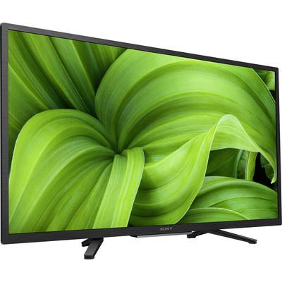 Flat-screen television with a large green leaf motif on the screen.