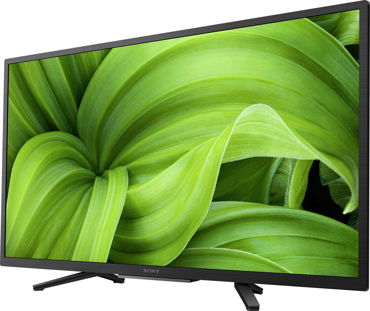 A television with a black frame displays an image of large, green leaves.