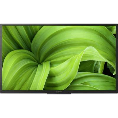 Close-up of vibrant, green leaves with curving, overlapping forms, showcasing lively texture and freshness.